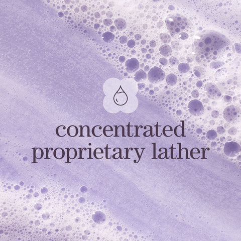 Hydrate Shampoo: Sulfate-Free Hydrating Shampoo for Dry, Color-Treated Hair
