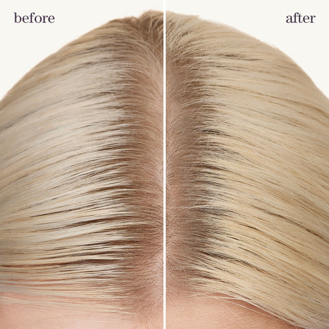 Style + Protect Refresh & Go Dry Shampoo